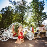 Dream Horse Carriage Company- the perfect addition for your Wedding. https://www.facebook.com/DreamHorseCarriageCompany
