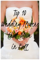 Top 10 Wedding Flowers that Bloom in Fall